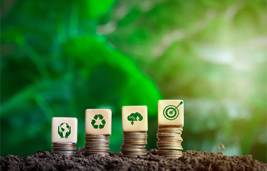 banking on esg